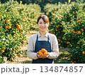 みかんガール　ミカン畑の女の子 134874857