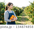 みかんガール　収穫する女の子 134874858
