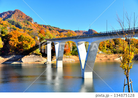 丸岩大橋周辺／八ツ場あがつま湖(群馬県長野原町)【2025.11】 134875128