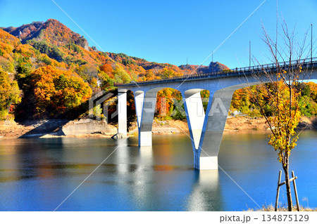 丸岩大橋周辺／八ツ場あがつま湖(群馬県長野原町)【2025.11】 134875129