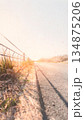 どこまでも続く道 134875206