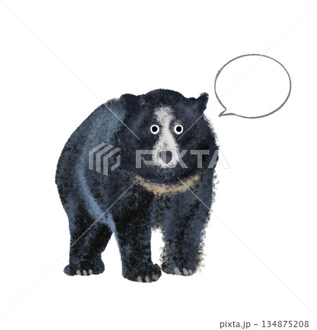 吹き出し付きクマの注意イラスト　動物の安全・注意喚起素材 134875208