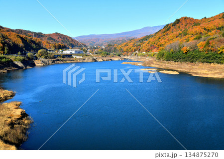 丸岩大橋/八ツ場あがつま湖より長野原町役場方面を望む(群馬県長野原町)【2025.11】 丸岩大橋/八ツ場あがつま湖より長野原町役場方面を望む(群馬県長野原町)【2025.11】 134875270