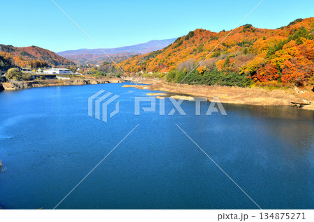 丸岩大橋／八ツ場あがつま湖より長野原町役場方面を望む(群馬県長野原町)【2025.11】 134875271