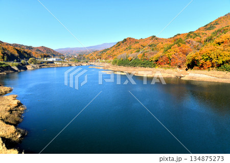 丸岩大橋/八ツ場あがつま湖より長野原町役場方面を望む(群馬県長野原町)【2025.11】 丸岩大橋/八ツ場あがつま湖より長野原町役場方面を望む(群馬県長野原町)【2025.11】 134875273