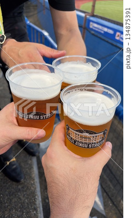 球場で飲む生ビール 球場で飲む生ビール 134875391