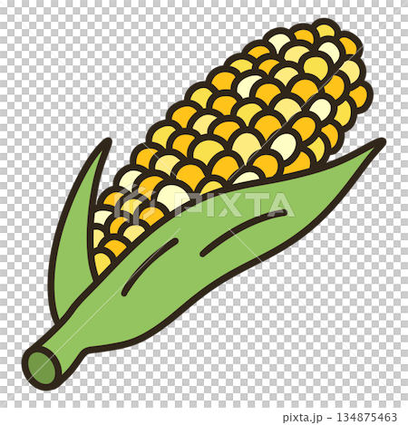 Corn 134875463