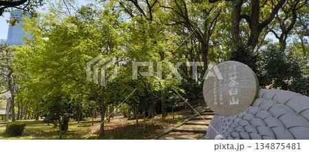 茶臼山の石碑 茶臼山の石碑 134875481