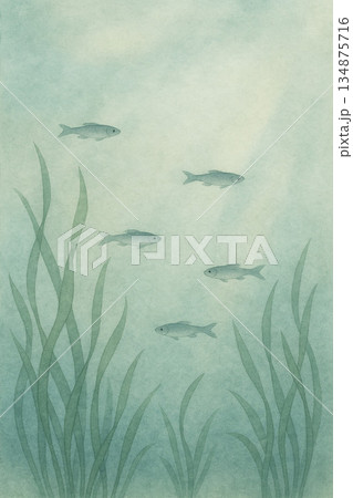水草シリーズ：水草の間を泳ぐ小魚の穏やかな和風背景 134875716