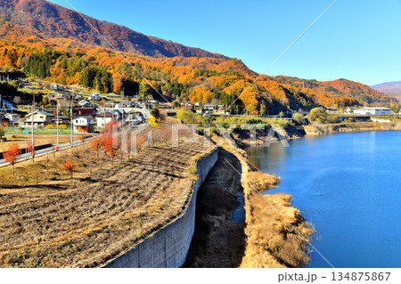 丸岩大橋/八ツ場あがつま湖より長野原町役場方面を望む(群馬県長野原町)【2025.11】 丸岩大橋/八ツ場あがつま湖より長野原町役場方面を望む(群馬県長野原町)【2025.11】 134875867