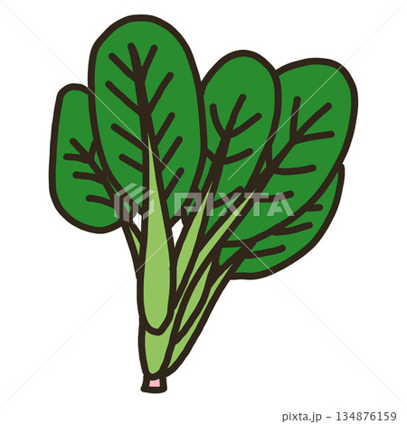 小松菜 134876159
