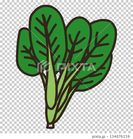 小松菜 134876159