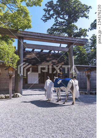 新馬の参拝　伊勢神宮の外宮の風景　神馬の朔日参り　伊勢神宮の神事　午年　 134876230