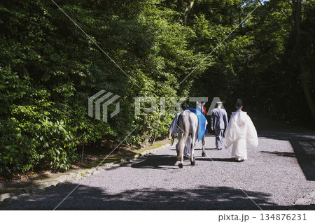 新馬の参拝　伊勢神宮の外宮の風景　神馬の朔日参り　伊勢神宮の神事　午年　 134876231