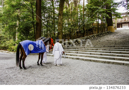 新馬の参拝　伊勢神宮の内宮の風景　神馬の朔日参り　伊勢神宮の神事　午年　 134876233