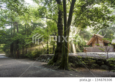 伊勢神宮の朝の風景 朝日差し込む風景 伊勢神宮の神事 午年 伊勢神宮の朝の風景 朝日差し込む風景 伊勢神宮の神事 午年 134876306