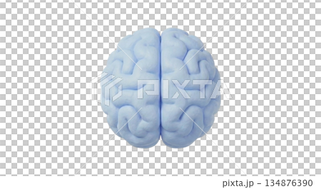 Brain (脳_AI) 134876390