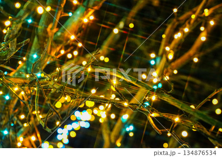 幻想的　イルミネーション　光の粒　きらめき　夜の森 134876534