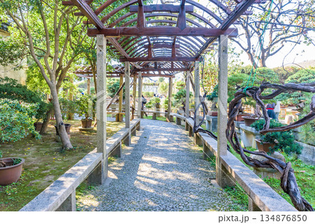 世界遺産「蘇州古典園林」 留園 中国 世界遺産「蘇州古典園林」 留園 中国 134876850