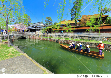 【岡山県】桜が満開の倉敷美観地区(舟流し) 【岡山県】桜が満開の倉敷美観地区(舟流し) 134877005