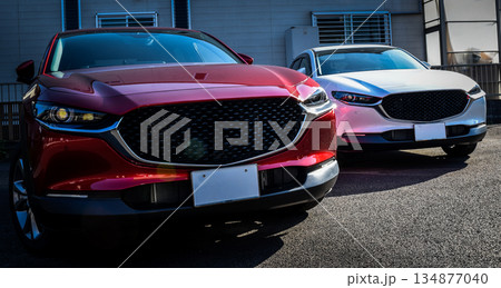 赤と白のスポーツカー・SUV車のイメージ 赤と白のスポーツカー・SUV車のイメージ 134877040