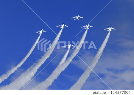 ブルーインパルス 134877064