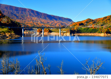 不動大橋/八ツ場あがつま湖方面を望む(群馬県長野原町)【2025.11】 不動大橋/八ツ場あがつま湖方面を望む(群馬県長野原町)【2025.11】 134877071