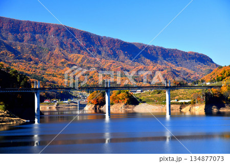 不動大橋/八ツ場あがつま湖方面を望む(群馬県長野原町)【2025.11】 不動大橋/八ツ場あがつま湖方面を望む(群馬県長野原町)【2025.11】 134877073