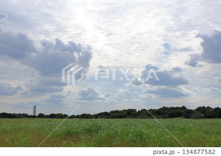 東京都・江東区・海の森公園 東京都・江東区・海の森公園 134877582