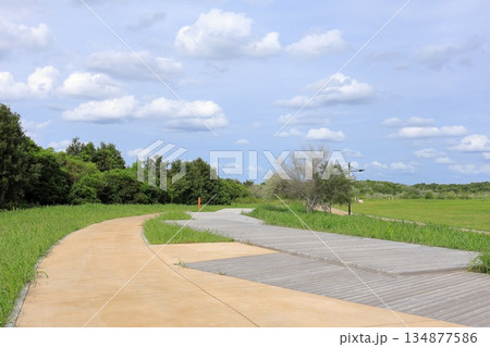 東京都・江東区・海の森公園 134877586