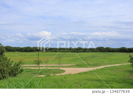 東京都・江東区・海の森公園 東京都・江東区・海の森公園 134877639