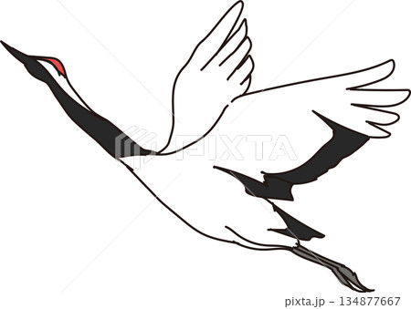 羽ばたく鶴_シンプルイラスト 134877667