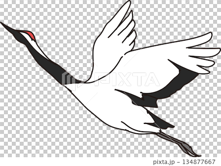 羽ばたく鶴_シンプルイラスト 134877667