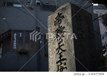 柴又帝釈天の参道 134877904