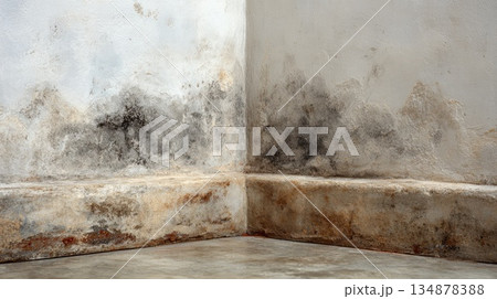 Severe Wall Mold and Mildew in Old Building Interior Corner 134878388