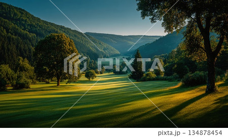 Sunlit Green Valley with Rolling Hills, Forest Trees and Peaceful Morning Light Sunlit Green Valley with Rolling Hills, Forest Trees and Peaceful Morning Light 134878454