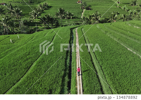 Captivating Images Showcasing Rice Paddies And Scenic Beauty Of Bali Countryside 134878892