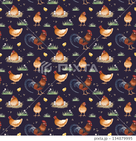 Seamless drawing of a poultry yard on a dark background. Vintage watercolor illustration of brown hens, rooster, chicks, nest, grain and grass. Realistic drawing of farm birds for agriculture 134879995