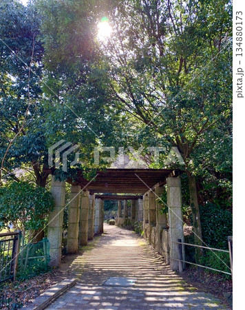 森の日陰棚〈岡崎中央総合公園(恩賜苑)/愛知県岡崎市〉 森の日陰棚〈岡崎中央総合公園(恩賜苑)/愛知県岡崎市〉 134880173