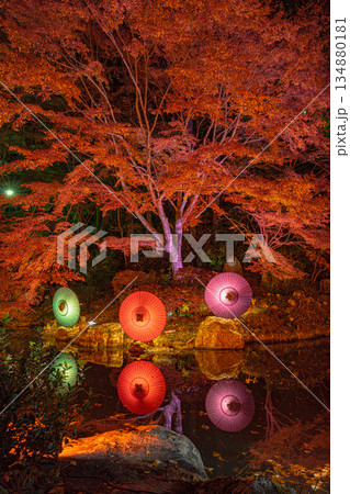 法多山 尊永寺 和傘アート 法多山 尊永寺 和傘アート 134880181