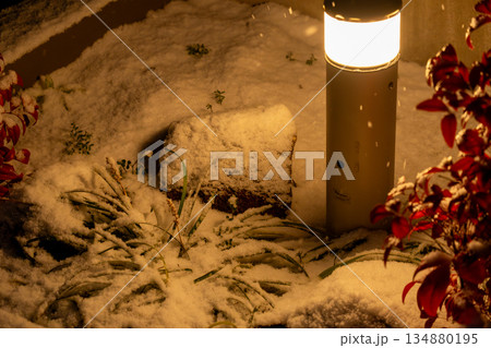 雪の庭園ライト風景 雪の庭園ライト風景 134880195