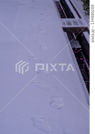 雪の足跡 134880208