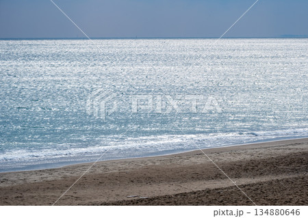 砂浜と輝く海 134880646