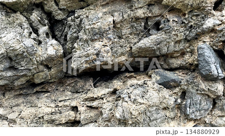 自然の造形が美しい岩のテクスチャ 134880929