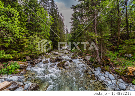Gravel hiking path alongside a mountain river in High Tatras 134882215