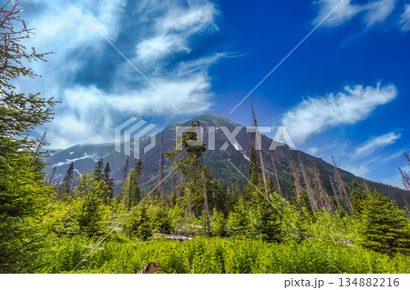 High mountain peak under a vibrant blue sky in Tatra National Park 134882216