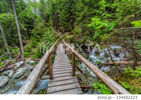 Wooden bridge over a mountain stream in High Tatras National Park Wooden bridge over a mountain stream in High Tatras National Park 134882223