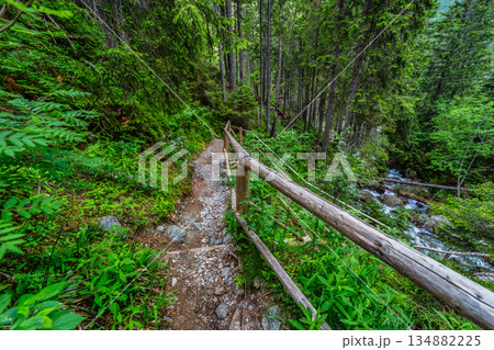 Wooden bridge over a mountain stream in High Tatras National Park Wooden bridge over a mountain stream in High Tatras National Park 134882225