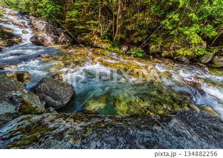 Wild mountain river flowing through green forest in High Tatras 134882256