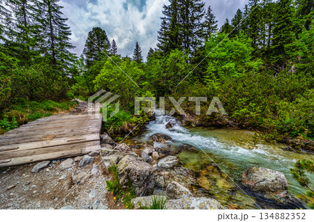 Wooden footbridge over a clear mountain stream in High Tatras Wooden footbridge over a clear mountain stream in High Tatras 134882352